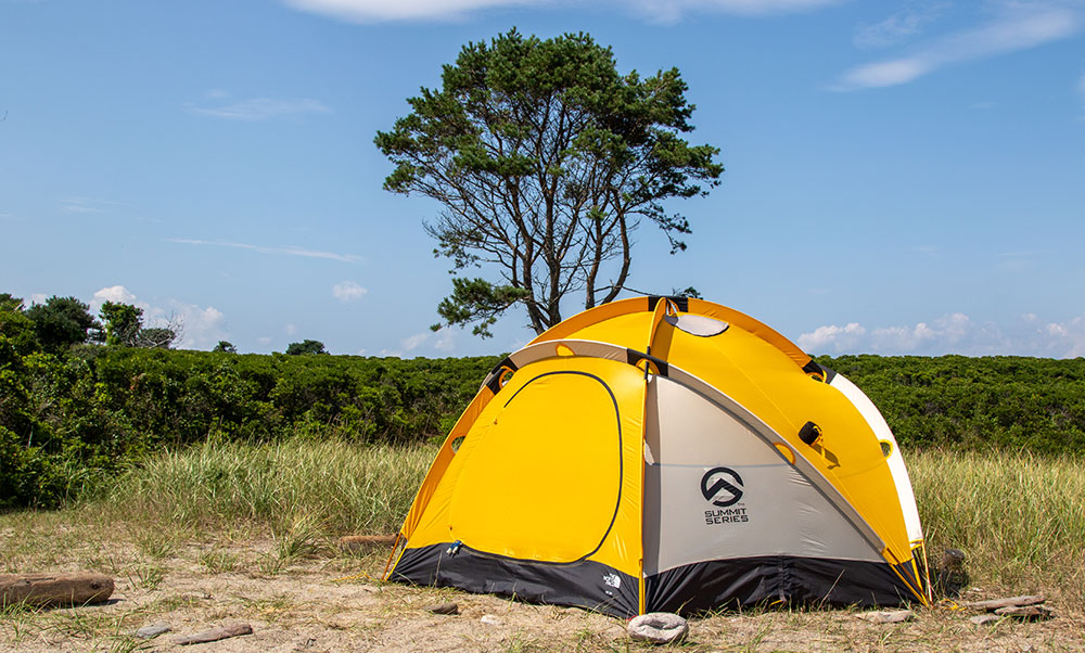 A photo of a yellow, domed tend on a sandy beach near scrub grass and a lone tree.